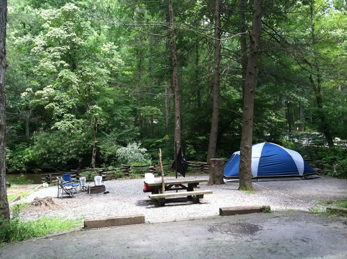 North Mills River campsite