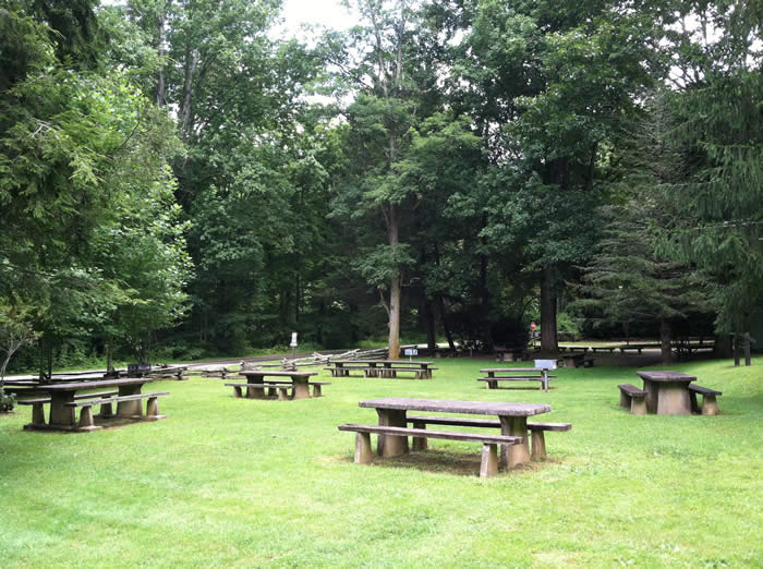 Sunburst Campground Picnic Area