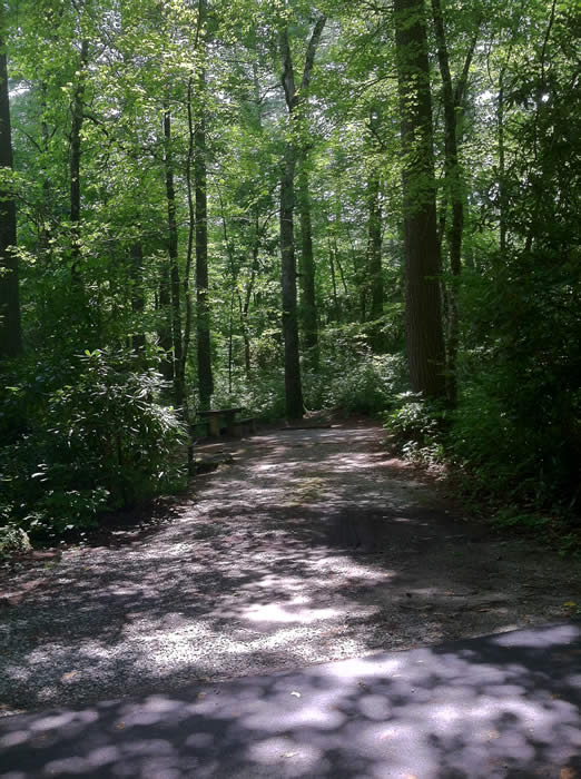 Van Hook Glade Campground