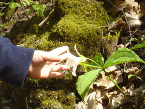 CFAIA Teacher Resources