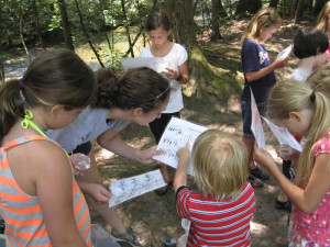Davidson River Campground Program