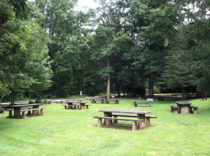 Sunburst Campground Picnic Area