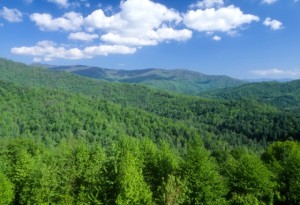 Mountain view from Cherohala Skyway